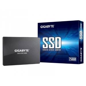 256GB 2.5" SATA3 SSD GP-GSTFS31256GTND